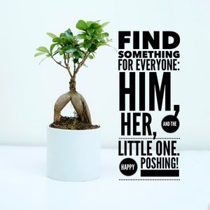 Find something for everyone!